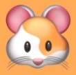 蘑菇视频APP